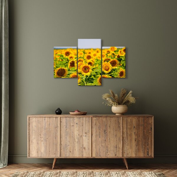 Slika - Suncokreti (90x60 cm)