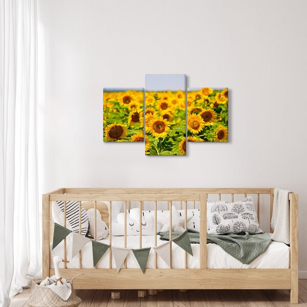 Slika - Suncokreti (90x60 cm)
