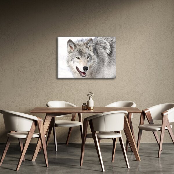Slika - Vuk u prirodi (70x50 cm)