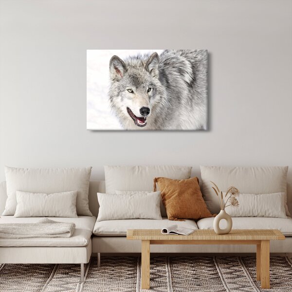 Slika - Vuk u prirodi (90x60 cm)