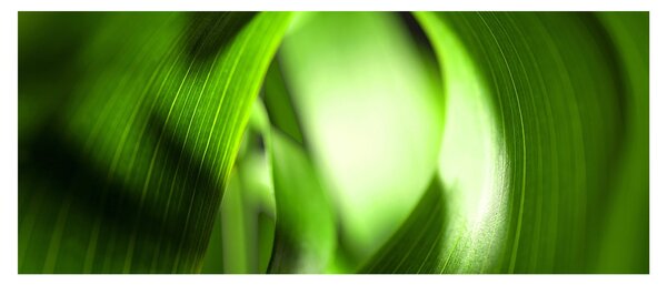 Slika - Vlat trave (120x50 cm)