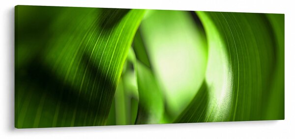 Slika - Vlat trave (120x50 cm)