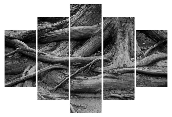 Slika - Korijenje stabla (150x105 cm)