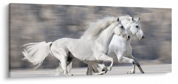 Slika - Bijeli konji zimi (120x50 cm)
