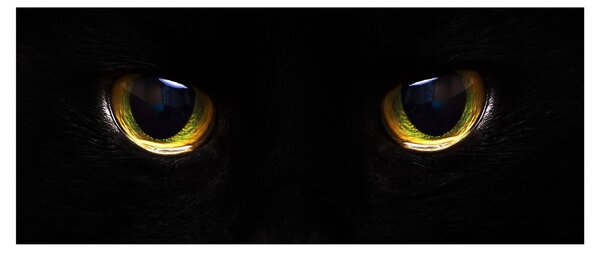 Slika - mačje oči (120x50 cm)