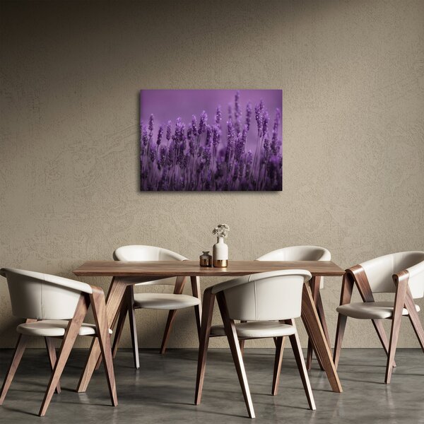 Slika - Lavanda (70x50 cm)