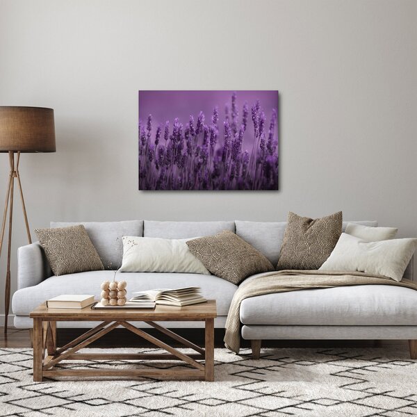 Slika - Lavanda (70x50 cm)