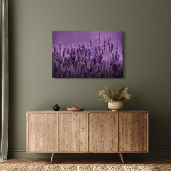Slika - Lavanda (90x60 cm)