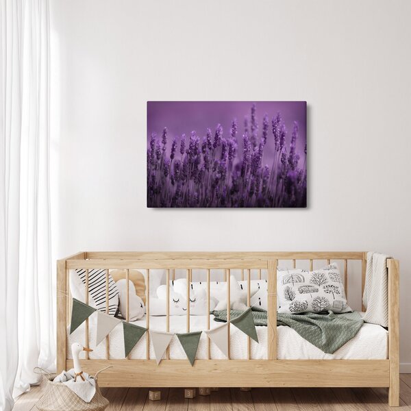Slika - Lavanda (90x60 cm)