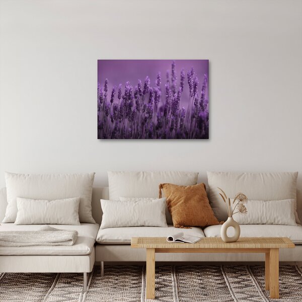 Slika - Lavanda (70x50 cm)