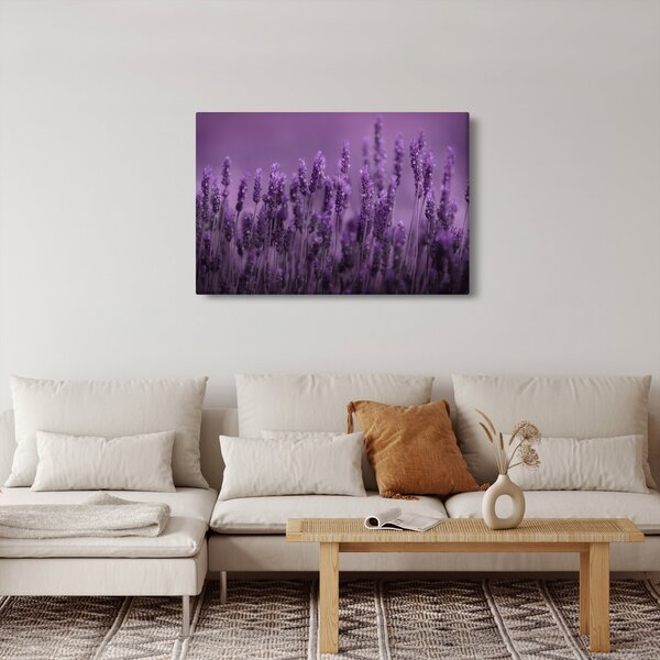 Slika - Lavanda (90x60 cm)