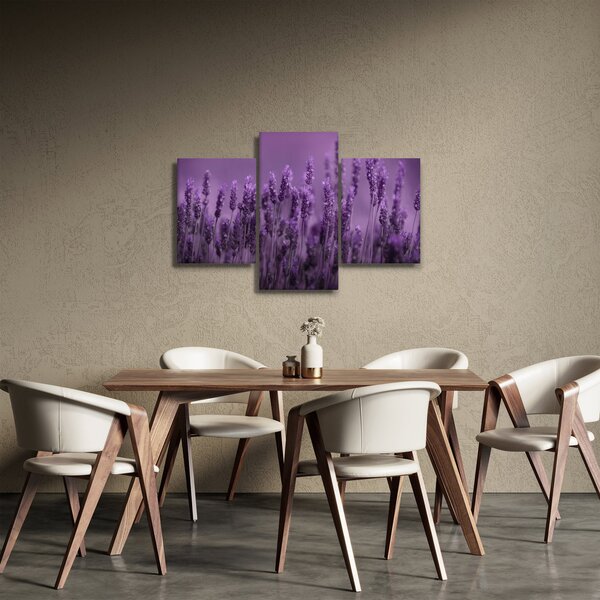 Slika - Lavanda (90x60 cm)