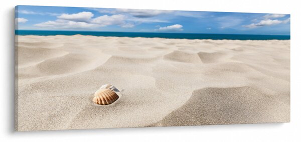 Slika - Školjke na plaži (120x50 cm)