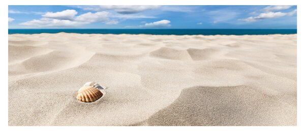 Slika - Školjke na plaži (120x50 cm)