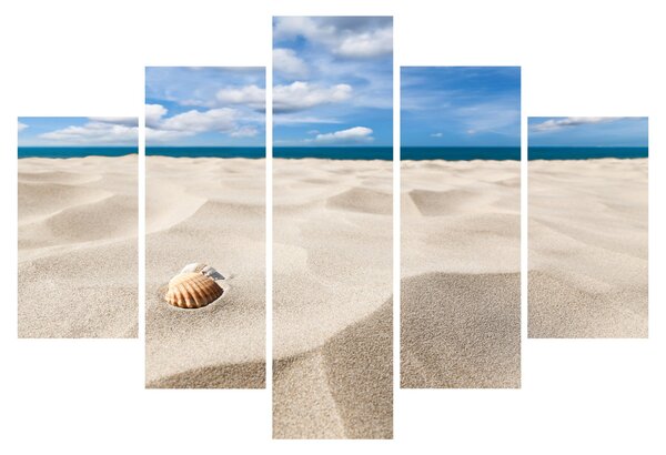 Slika - Školjke na plaži (150x105 cm)