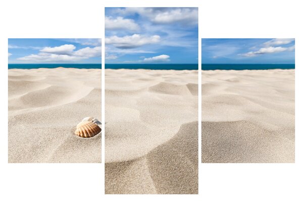 Slika - Školjke na plaži (90x60 cm)