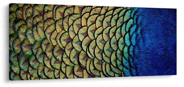 Slika - Paunovo perje (120x50 cm)