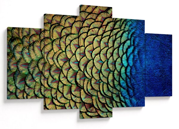 Slika - Paunovo perje (150x105 cm)