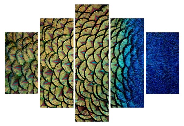 Slika - Paunovo perje (150x105 cm)