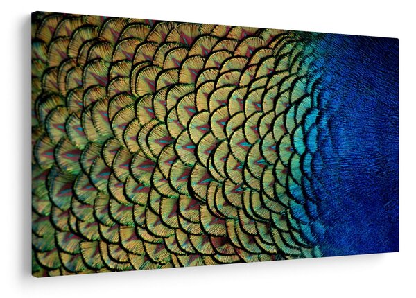 Slika - Paunovo perje (90x60 cm)