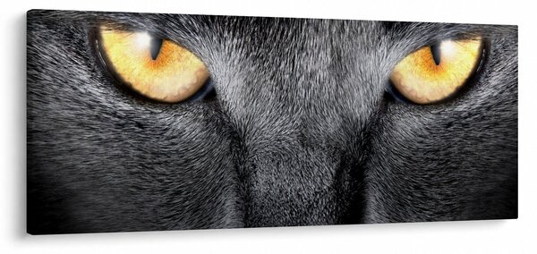 Slika - Portret mačke izbliza (120x50 cm)