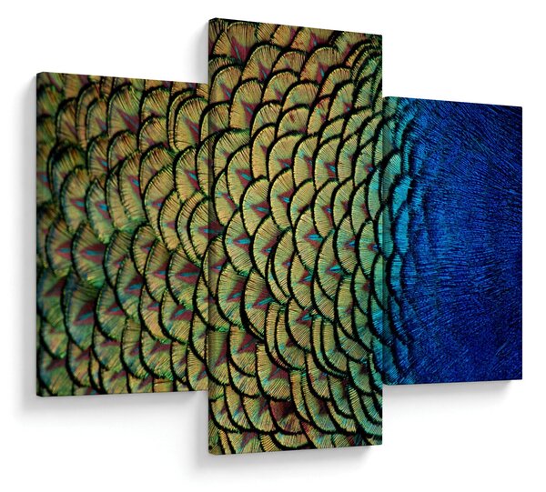 Slika - Paunovo perje (90x60 cm)