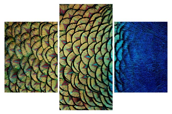 Slika - Paunovo perje (90x60 cm)