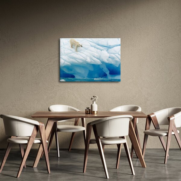 Slika - Polarni medvjed (70x50 cm)