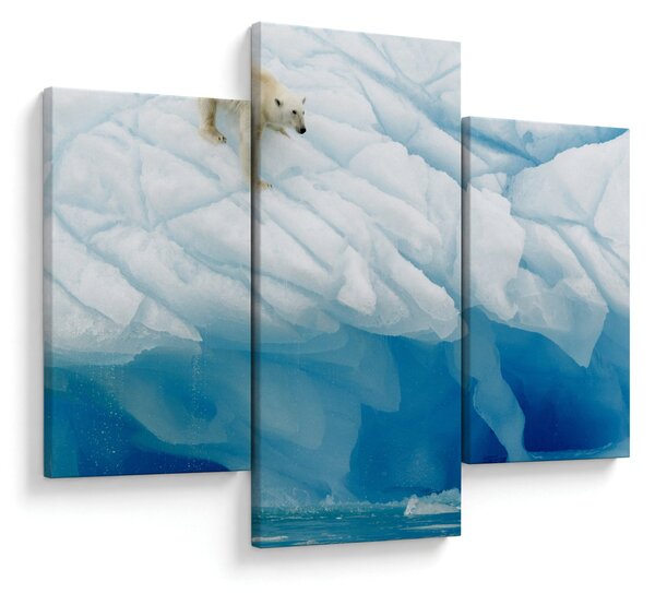 Slika - Polarni medvjed (90x60 cm)
