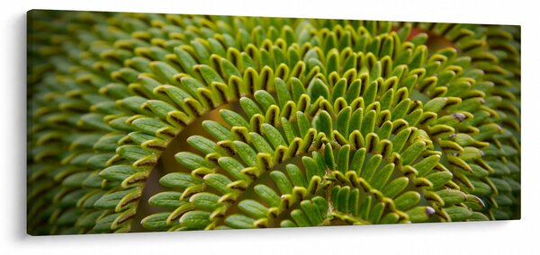 Slika - Paprat (120x50 cm)