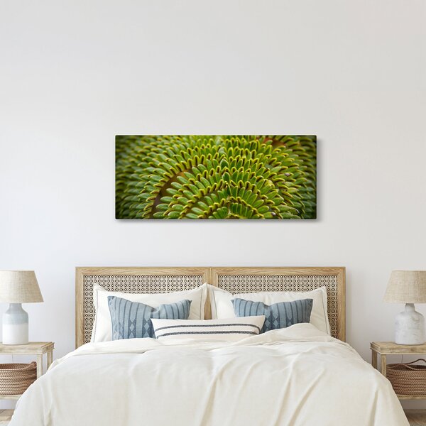 Slika - Paprat (120x50 cm)
