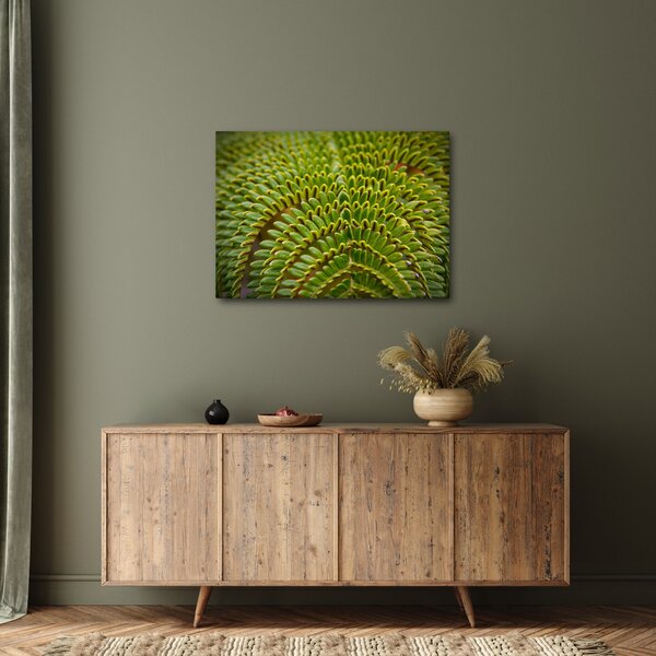 Slika - Paprat (70x50 cm)