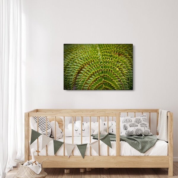 Slika - Paprat (90x60 cm)