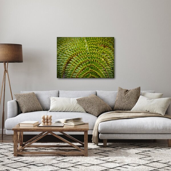 Slika - Paprat (70x50 cm)