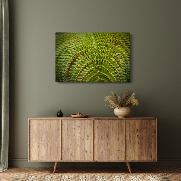 Slika - Paprat (90x60 cm)