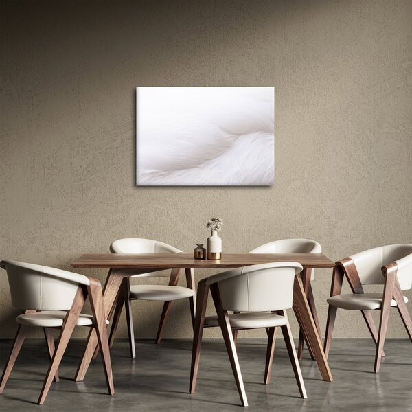 Slika - Bijelo pero (70x50 cm)