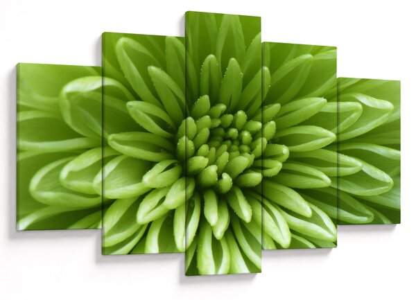 Slika - Makro slika biljke (150x105 cm)