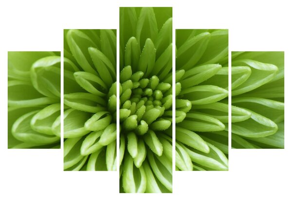 Slika - Makro slika biljke (150x105 cm)
