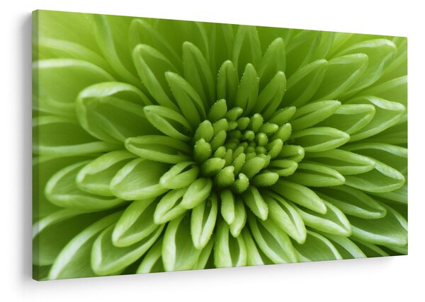 Slika - Makro slika biljke (90x60 cm)