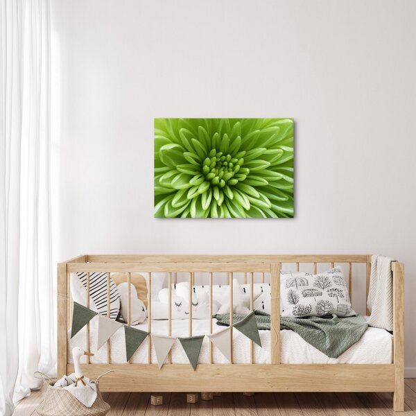 Slika - Makro slika biljke (70x50 cm)