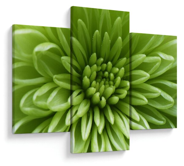 Slika - Makro slika biljke (90x60 cm)