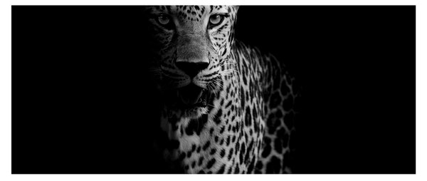 Slika - Portret leoparda (120x50 cm)