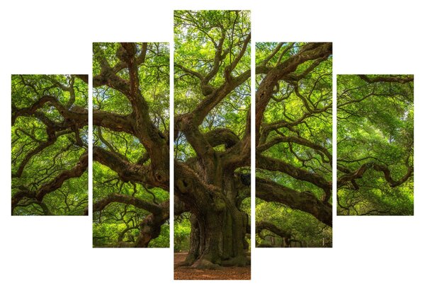 Slika - Zeleno stablo (150x105 cm)