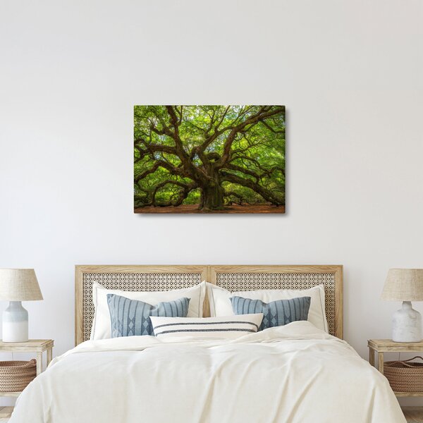 Slika - Zeleno stablo (70x50 cm)
