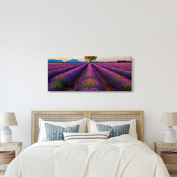 Slika - Polje lavande (120x50 cm)