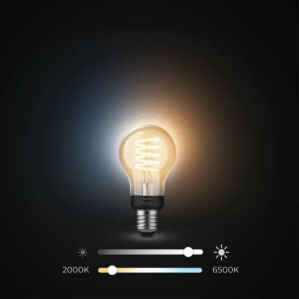 PHILIPS HUE pametna LED žarulja White Ambiance 7W FIL A60 EUR E27 8719514301429