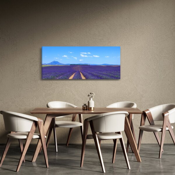Slika - Polje lavande (120x50 cm)