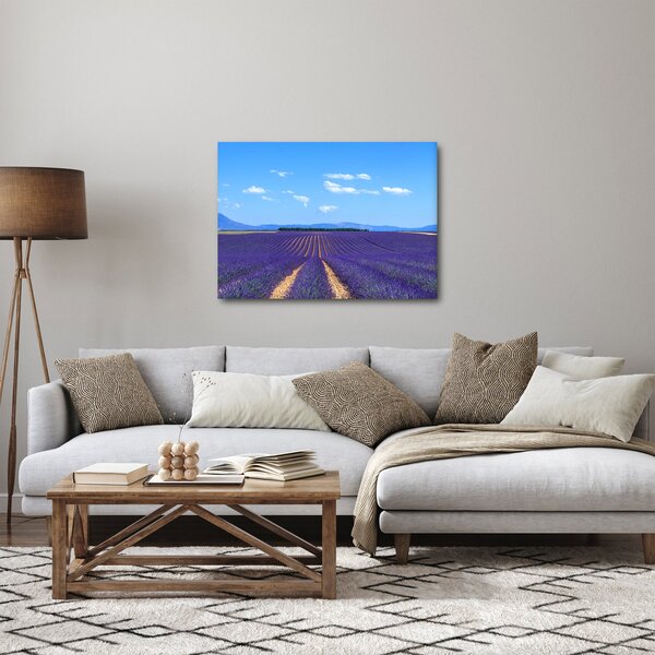 Slika - Polje lavande (70x50 cm)