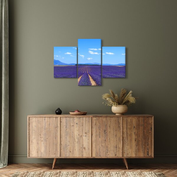 Slika - Polje lavande (90x60 cm)