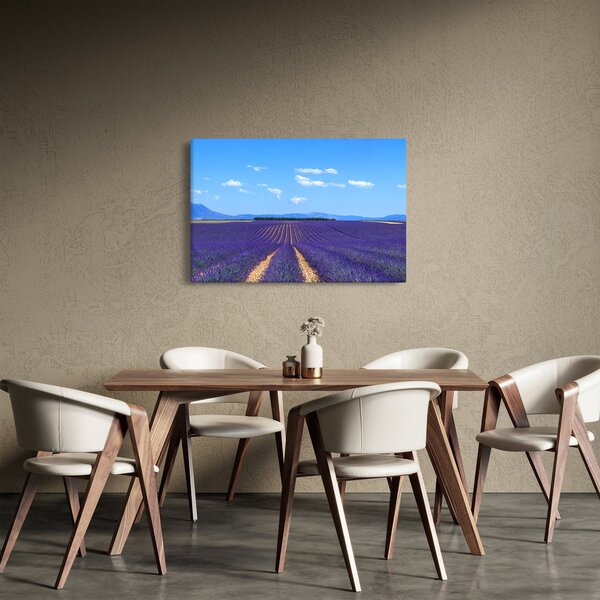 Slika - Polje lavande (90x60 cm)